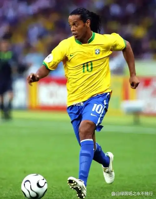 体的关注达 体的关注达