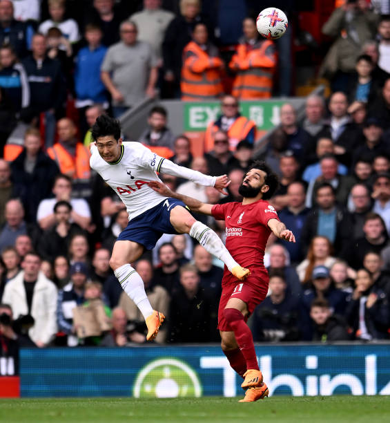 表现稳健 表现稳健